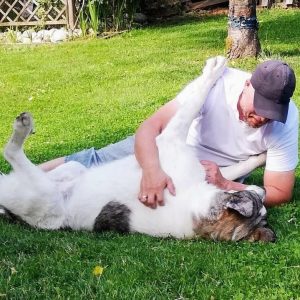 Hundelekerlies 08.11.2025