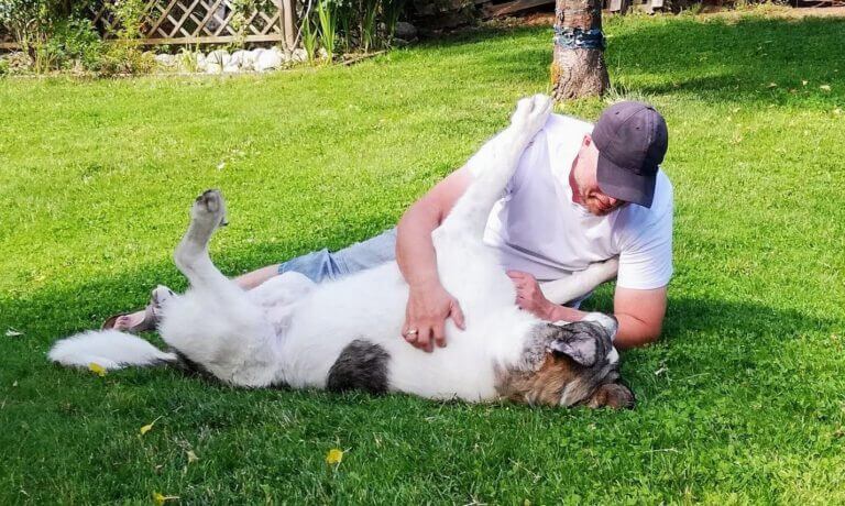 Hundefreund spielt mit seinem Hund auf der Wiese im Garten.