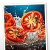 Frischer Tomatensalat mit Wasser spritzend Frische Tomaten, die ins Wasser fallen, perfekt für Kochschule und Kochbuch.